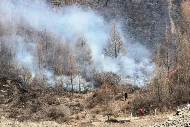 明火已撲滅，初步判斷由祭祀用火引發(fā)！今年已發(fā)生多起